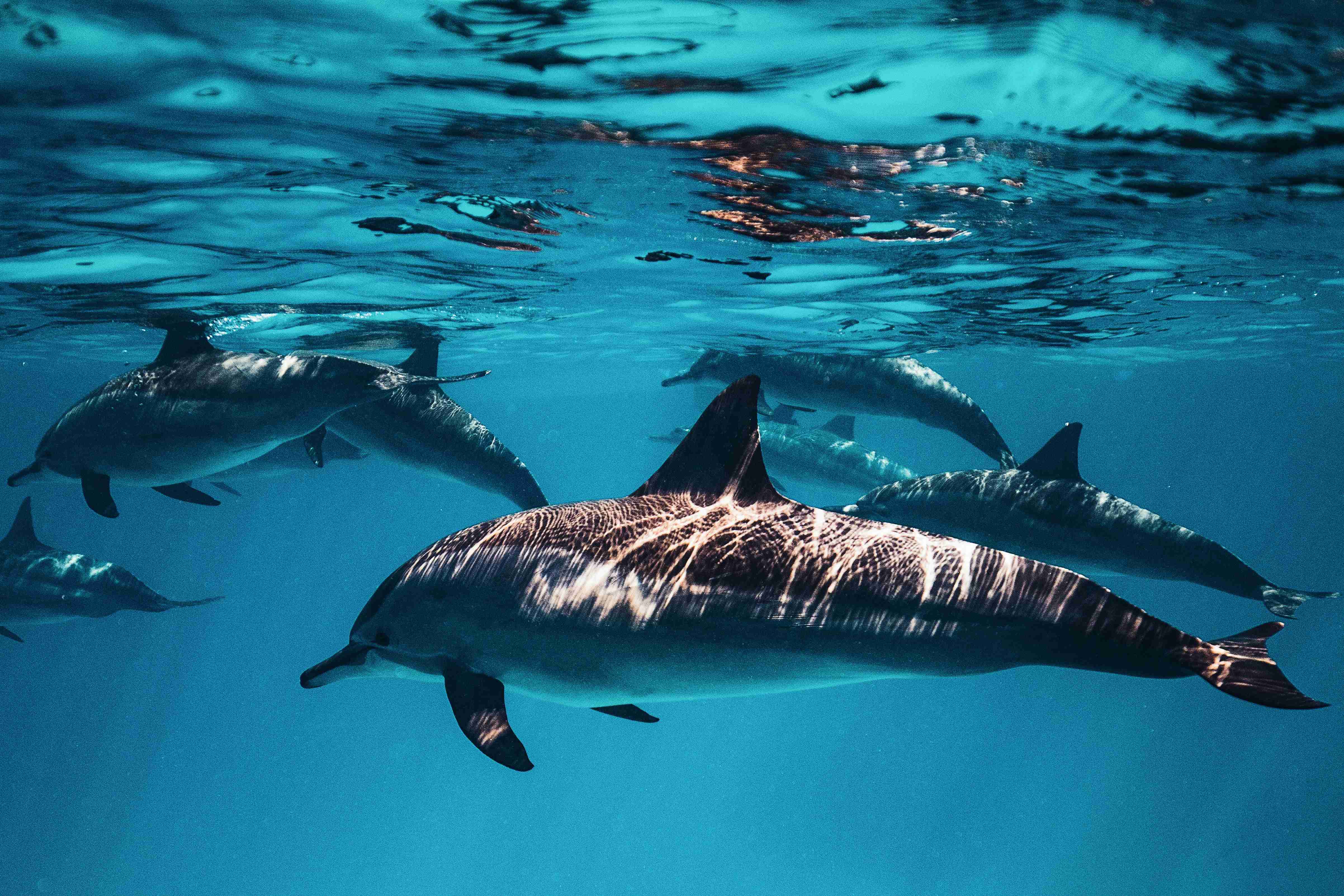 AdobeStock_269346362-min